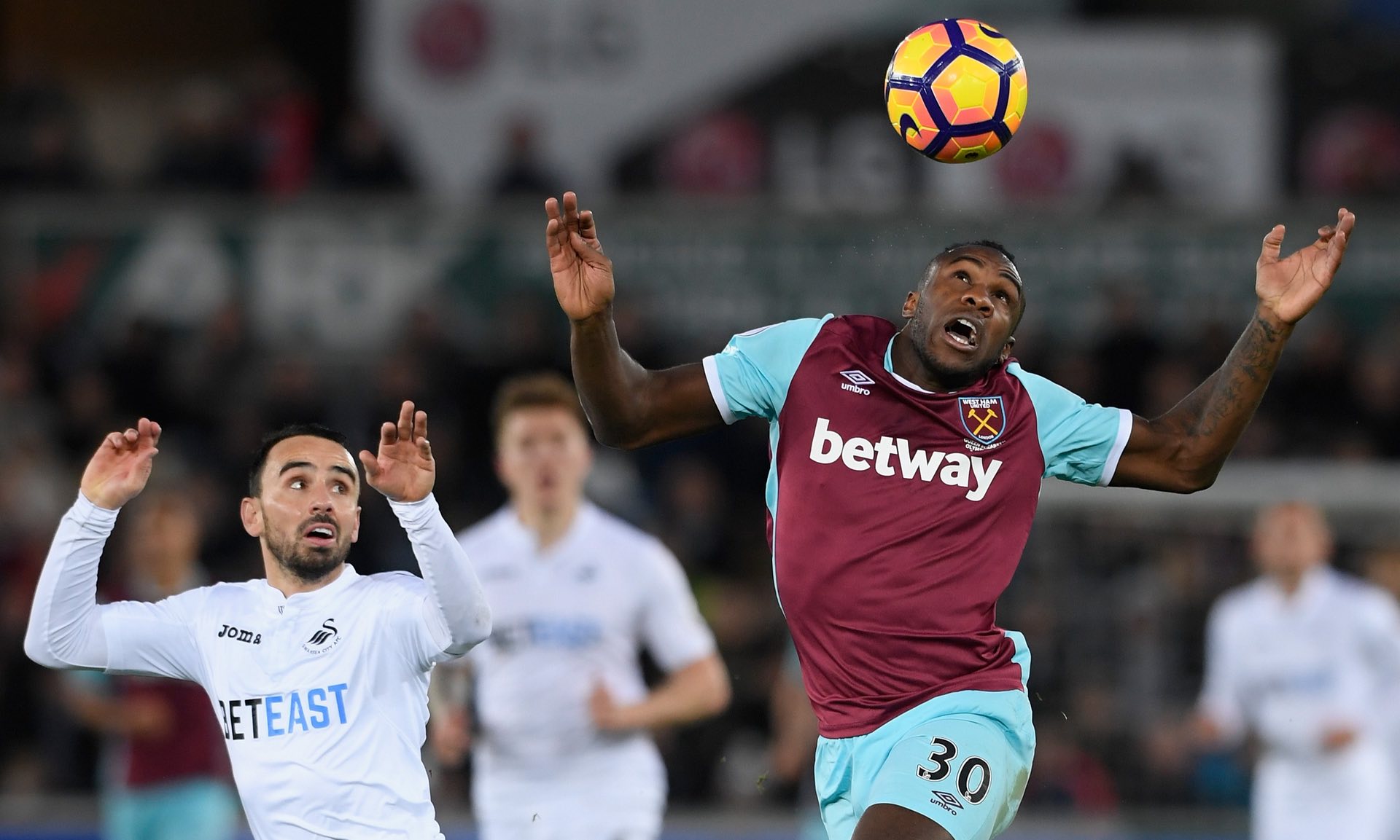 健康咨询等 健康咨询等